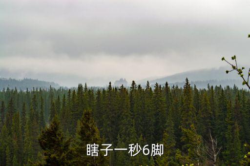 瞎子一秒6脚