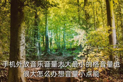 手机外放音乐音量太大最小的格音量也很大怎么办想音量小点能
