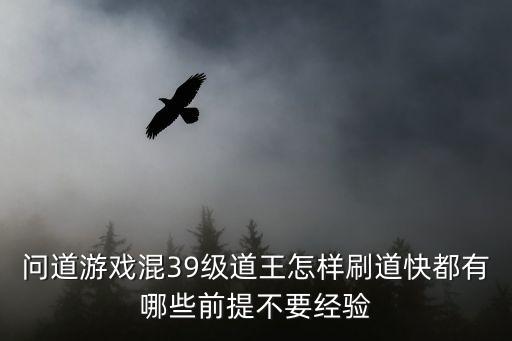 问道游戏混39级道王怎样刷道快都有哪些前提不要经验