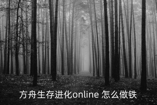 方舟生存进化online 怎么做铁