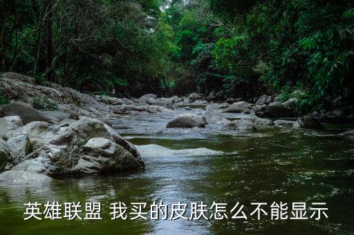 联盟手游宝典怎么没了显示，联盟一直这样不显示东西怎么回事