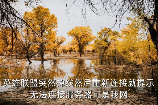 英雄联盟突然掉线然后重新连接就提示无法连接服务器可是我网