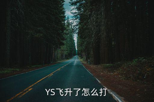 YS飞升了怎么打