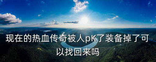 现在的热血传奇被人pK了装备掉了可以找回来吗
