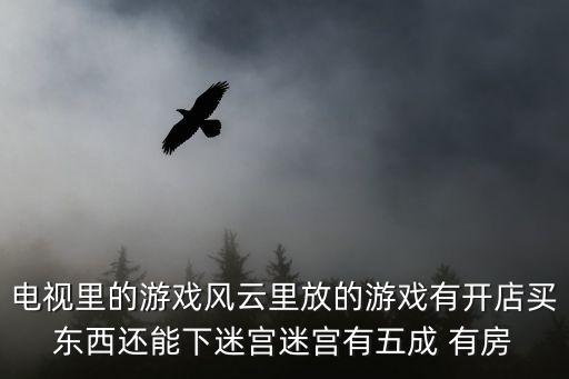 电视里的游戏风云里放的游戏有开店买东西还能下迷宫迷宫有五成 有房