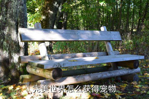 完美世界怎么获得宠物