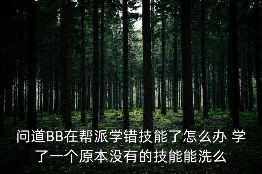 问道BB在帮派学错技能了怎么办 学了一个原本没有的技能能洗么