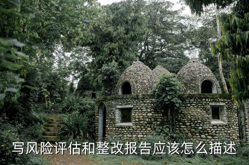 写风险评估和整改报告应该怎么描述