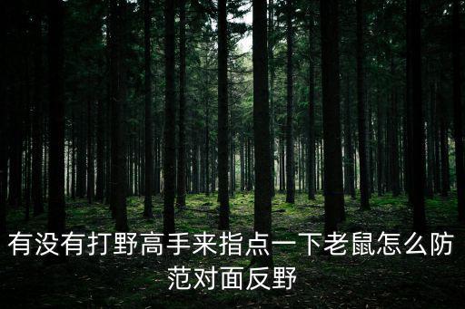 有没有打野高手来指点一下老鼠怎么防范对面反野