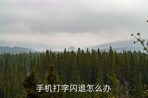 手机打字闪退怎么办