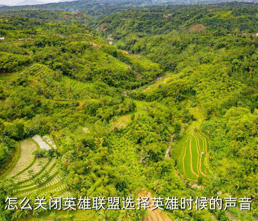怎么关闭英雄联盟选择英雄时候的声音