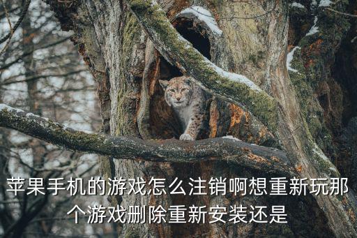 苹果手机的游戏怎么注销啊想重新玩那个游戏删除重新安装还是