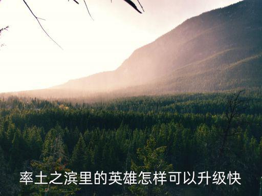 手游率土之滨怎么升级，率土之滨里的英雄怎样可以升级快