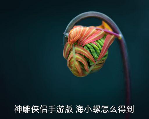 神雕侠侣手游版 海小螺怎么得到