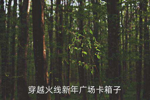 穿越火线新年广场卡箱子