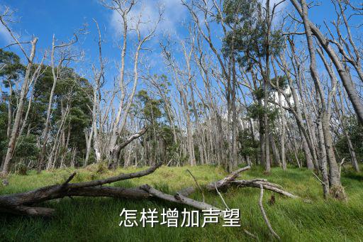 怎样增加声望