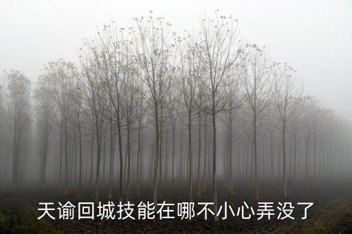 天谕手游怎么才能看到对手技能，天谕怎么只能看自己的秒伤 其他人的怎么看