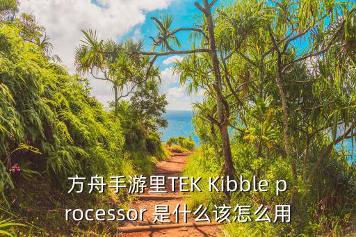 方舟手游官方服务器怎么刷琥珀，方舟手游里TEK Kibble processor 是什么该怎么用