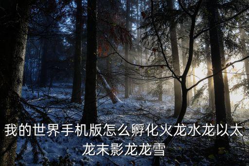 我的世界手机版怎么孵化火龙水龙以太龙末影龙龙雪