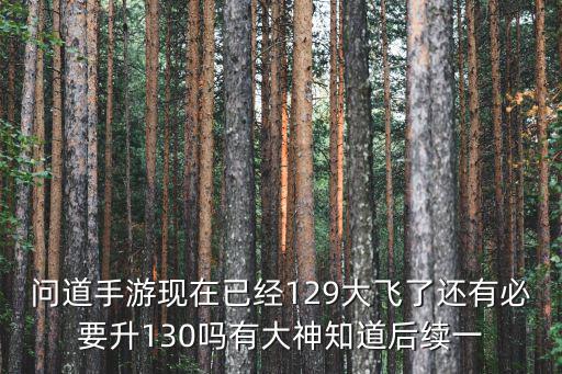 问道手游现在已经129大飞了还有必要升130吗有大神知道后续一