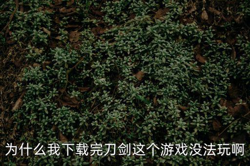 手游怎么玩不出刀剑英雄的感觉，为什么我下载完刀剑这个游戏没法玩啊