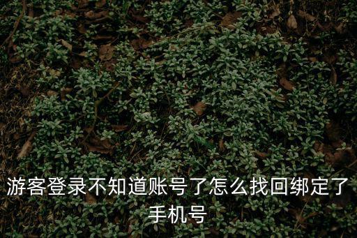 游客登录不知道账号了怎么找回绑定了手机号