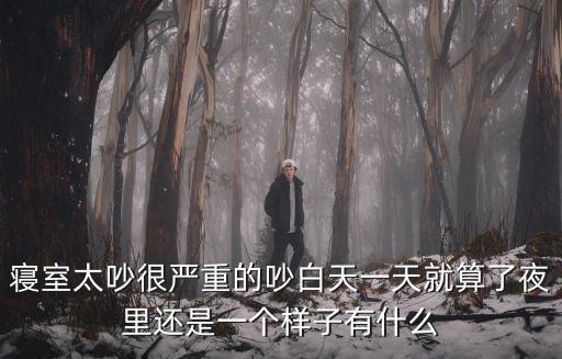 寝室太吵很严重的吵白天一天就算了夜里还是一个样子有什么