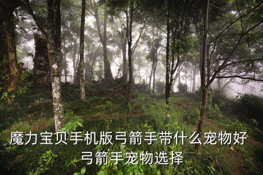 魔力宝贝手机版弓箭手带什么宠物好 弓箭手宠物选择