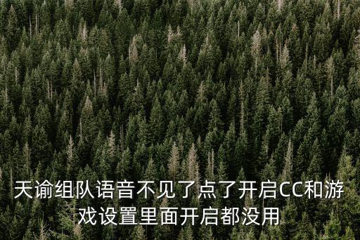 天谕手游不显示音轨怎么办，天谕游戏客户端已停止工作出现这个提示怎么解决