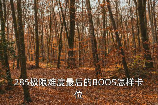 285极限难度最后的BOOS怎样卡位