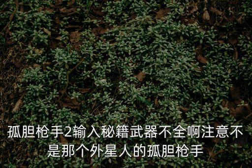 手游孤胆枪手2枪怎么用，孤胆枪手2输入秘籍武器不全啊注意不是那个外星人的孤胆枪手