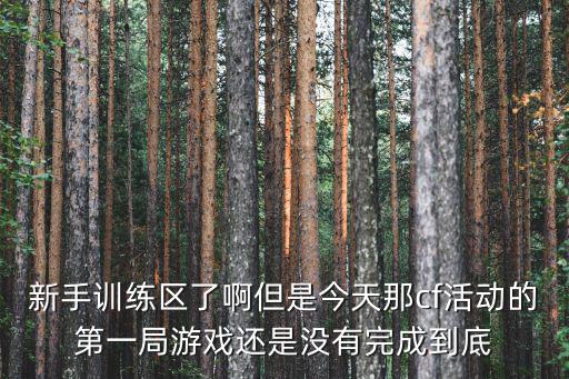 新手训练区了啊但是今天那cf活动的第一局游戏还是没有完成到底