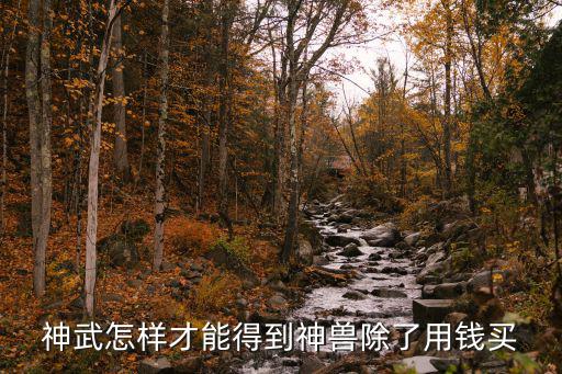 神武怎样才能得到神兽除了用钱买