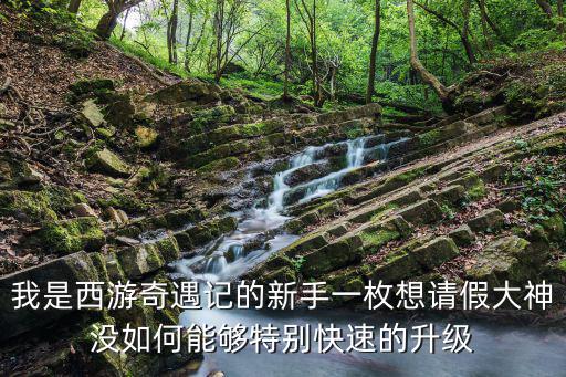 我是西游奇遇记的新手一枚想请假大神没如何能够特别快速的升级