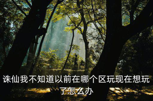 诛仙我不知道以前在哪个区玩现在想玩了怎么办