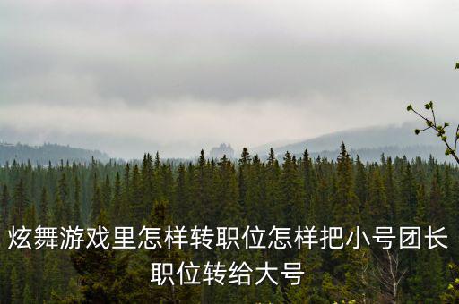 炫舞游戏里怎样转职位怎样把小号团长职位转给大号