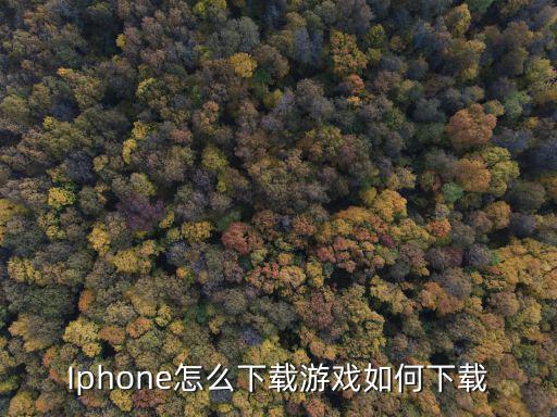 Iphone怎么下载游戏如何下载