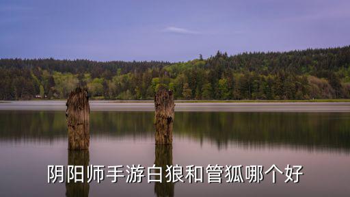 阴阳师手游白狼和管狐哪个好