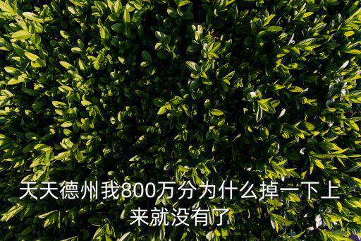 天天德州我800万分为什么掉一下上来就没有了