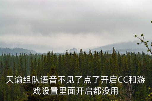 天谕组队语音不见了点了开启CC和游戏设置里面开启都没用