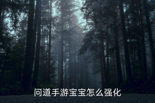 问道手游孩子怎么强化，问道游戏怎么强化BB