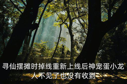 寻仙摆摊时掉线重新上线后神宠蛋小龙人不见了也没有收到