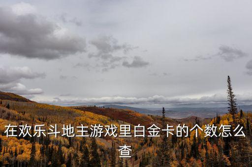 在欢乐斗地主游戏里白金卡的个数怎么查