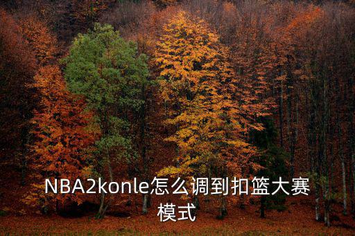NBA2konle怎么调到扣篮大赛模式