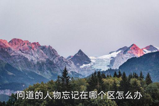 问道的人物忘记在哪个区怎么办