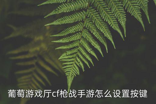 葡萄游戏厅cf枪战手游怎么设置按键