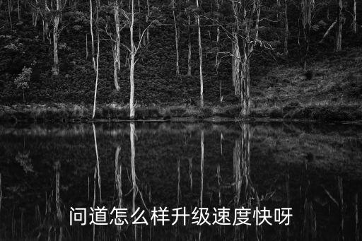 问道怎么样升级速度快呀