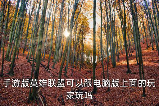 手游版英雄联盟可以跟电脑版上面的玩家玩吗