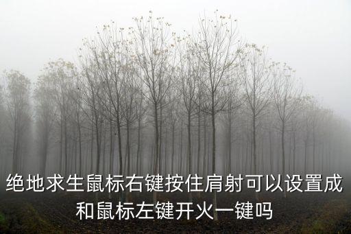 pubg手游肩射怎么弄，绝地求生鼠标右键按住肩射可以设置成和鼠标左键开火一键吗