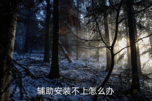 辅助安装不上怎么办